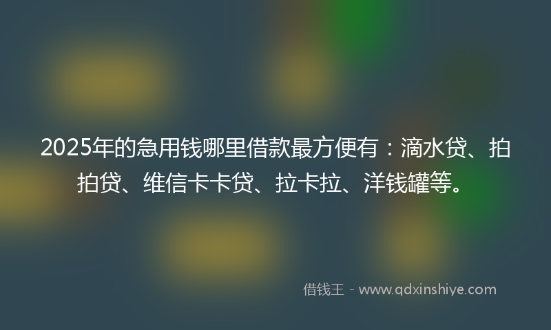 2025年的急用钱哪里借款最方便有：滴水贷、拍拍贷、维信卡卡贷、拉卡拉、洋钱罐等。