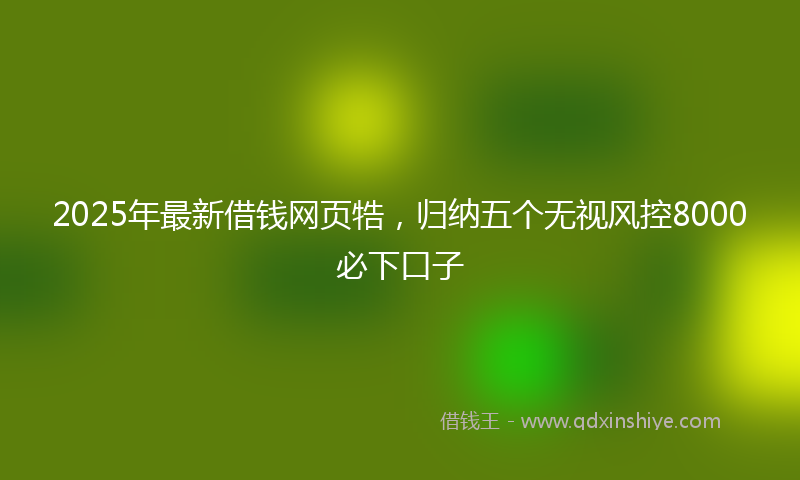 2025年最新借钱网页牿，归纳五个无视风控8000必下口子
