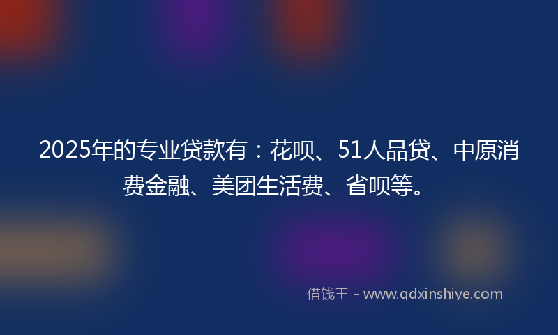 2025年的专业贷款有：花呗、51人品贷、中原消费金融、美团生活费、省呗等。