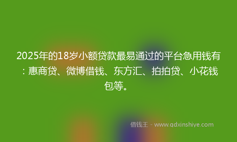 2025年的18岁小额贷款最易通过的平台急用钱有：惠商贷、微博借钱、东方汇、拍拍贷、小花钱包等。