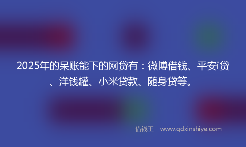 2025年的呆账能下的网贷有：微博借钱、平安i贷、洋钱罐、小米贷款、随身贷等。