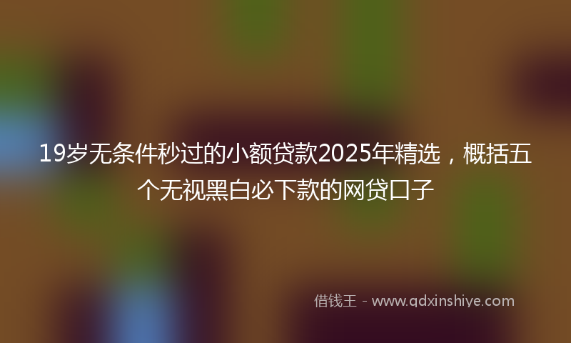19岁无条件秒过的小额贷款2025年精选，概括五个无视黑白必下款的网贷口子