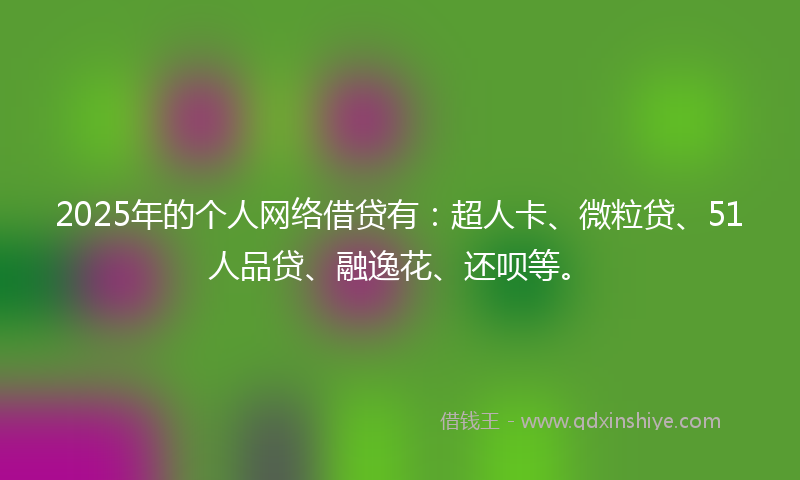 2025年的个人网络借贷有：超人卡、微粒贷、51人品贷、融逸花、还呗等。