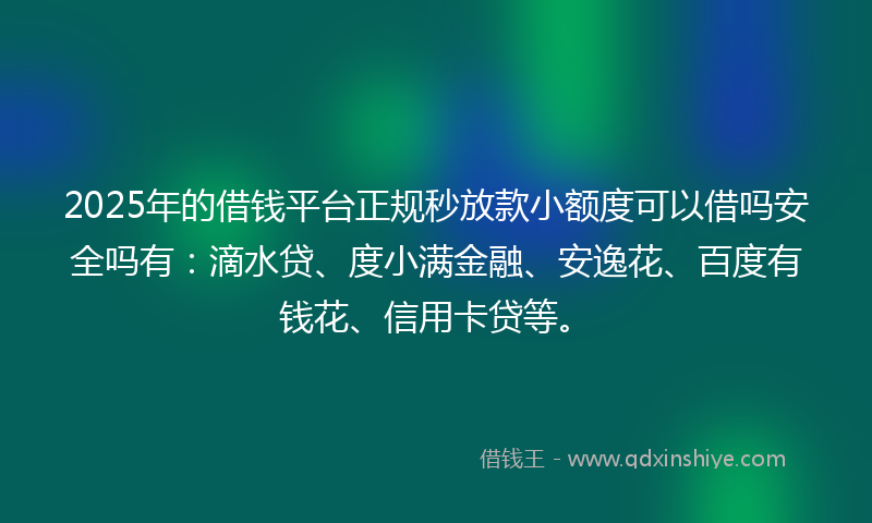 2025年的借钱平台正规秒放款小额度可以借吗安全吗有：滴水贷、度小满金融、安逸花、百度有钱花、信用卡贷等。
