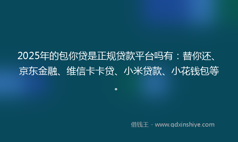 2025年的包你贷是正规贷款平台吗有：替你还、京东金融、维信卡卡贷、小米贷款、小花钱包等。