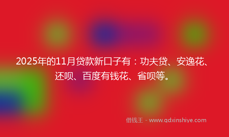 2025年的11月贷款新口子有：功夫贷、安逸花、还呗、百度有钱花、省呗等。