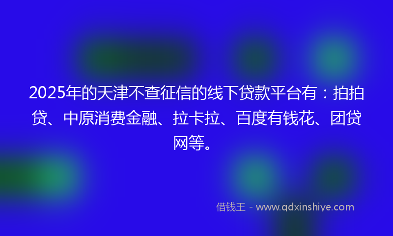 2025年的天津不查征信的线下贷款平台有：拍拍贷、中原消费金融、拉卡拉、百度有钱花、团贷网等。