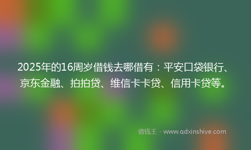 2025年的16周岁借钱去哪借有：平安口袋银行、京东金融、拍拍贷、维信卡卡贷、信用卡贷等。
