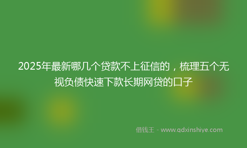2025年最新哪几个贷款不上征信的，梳理五个无视负债快速下款长期网贷的口子