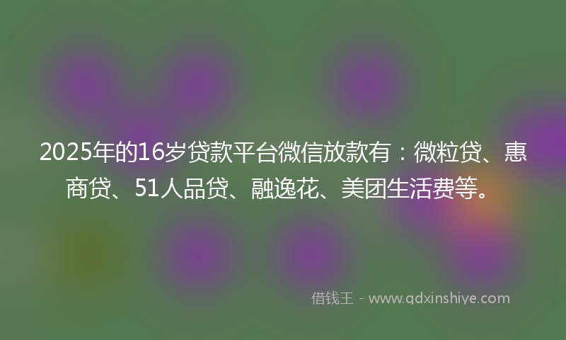2025年的16岁贷款平台微信放款有：微粒贷、惠商贷、51人品贷、融逸花、美团生活费等。