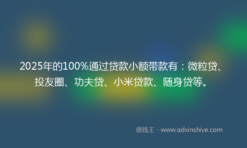 2025年的100%通过贷款小额带款有：微粒贷、投友圈、功夫贷、小米贷款、随身贷等。