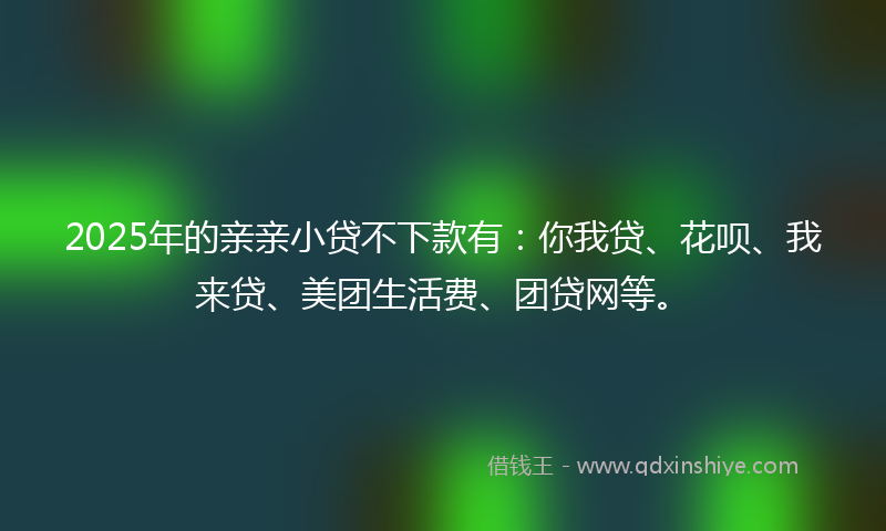 2025年的亲亲小贷不下款有：你我贷、花呗、我来贷、美团生活费、团贷网等。
