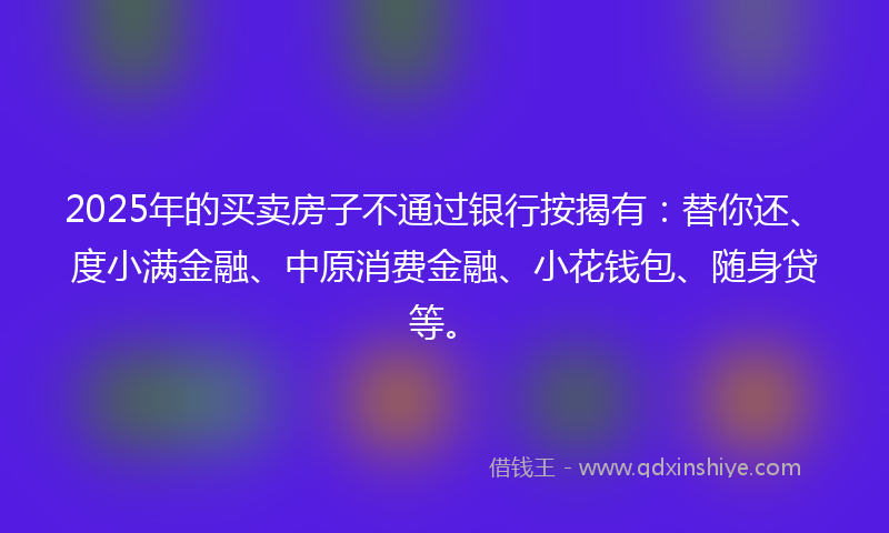2025年的买卖房子不通过银行按揭有：替你还、度小满金融、中原消费金融、小花钱包、随身贷等。