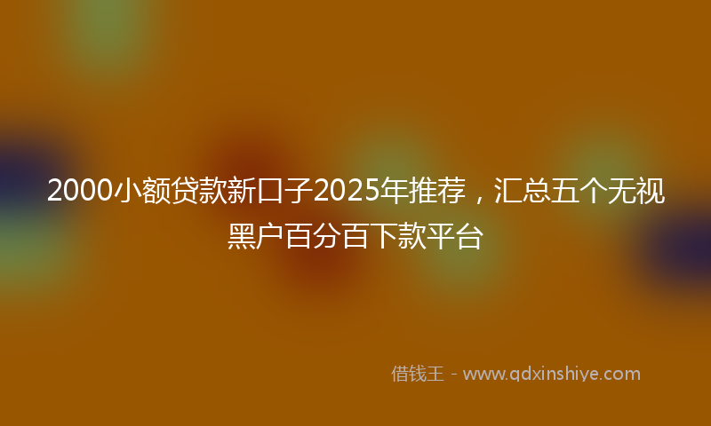 2000小额贷款新口子2025年推荐，汇总五个无视黑户百分百下款平台