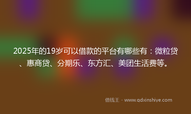 2025年的19岁可以借款的平台有哪些有：微粒贷、惠商贷、分期乐、东方汇、美团生活费等。