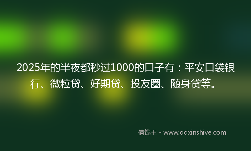2025年的半夜都秒过1000的口子有：平安口袋银行、微粒贷、好期贷、投友圈、随身贷等。