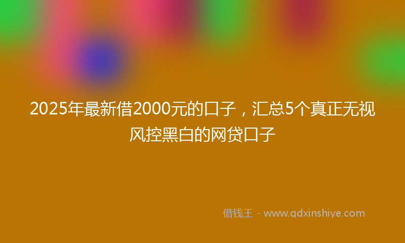 2025年最新借2000元的口子，汇总5个真正无视风控黑白的网贷口子