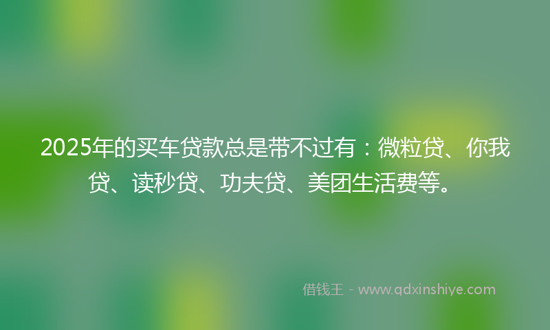 2025年的买车贷款总是带不过有：微粒贷、你我贷、读秒贷、功夫贷、美团生活费等。