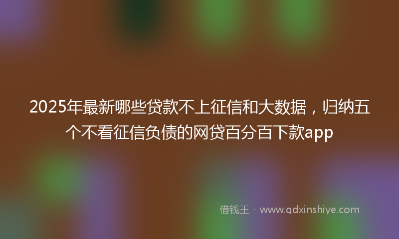 2025年最新哪些贷款不上征信和大数据，归纳五个不看征信负债的网贷百分百下款app