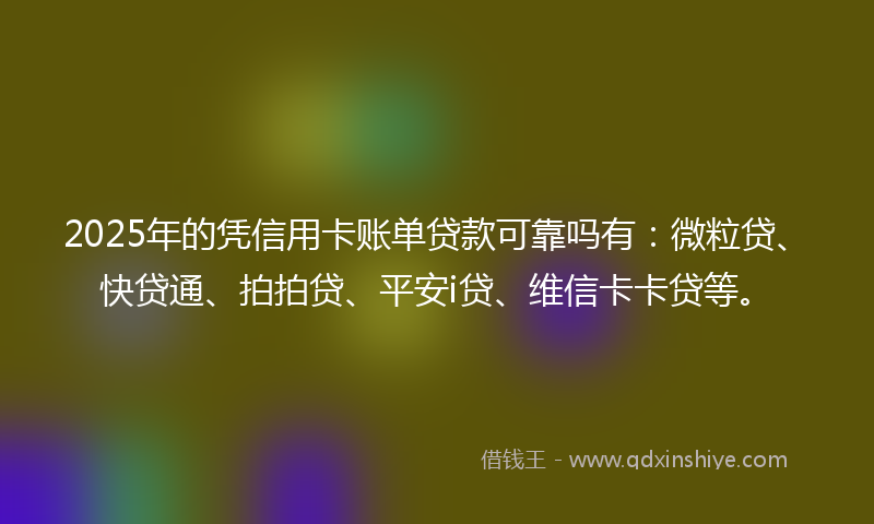 2025年的凭信用卡账单贷款可靠吗有：微粒贷、快贷通、拍拍贷、平安i贷、维信卡卡贷等。