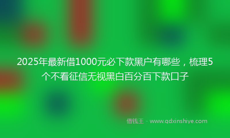 2025年最新借1000元必下款黑户有哪些，梳理5个不看征信无视黑白百分百下款口子
