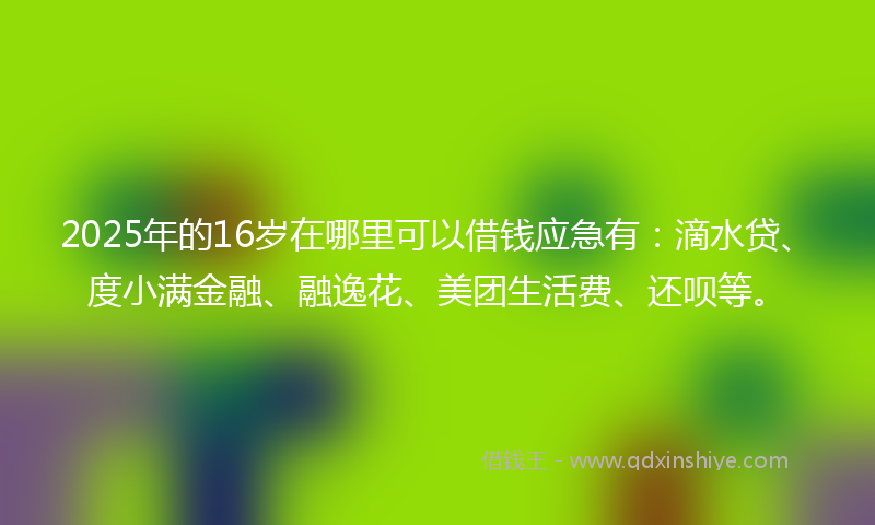2025年的16岁在哪里可以借钱应急有：滴水贷、度小满金融、融逸花、美团生活费、还呗等。