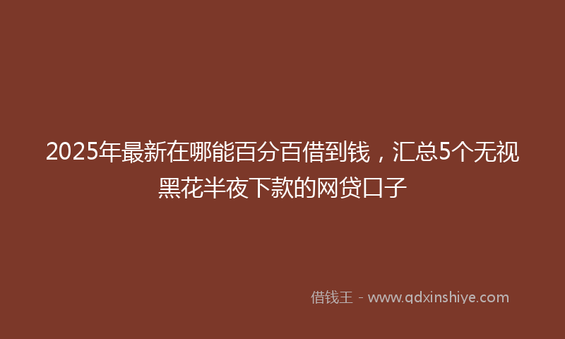 2025年最新在哪能百分百借到钱，汇总5个无视黑花半夜下款的网贷口子