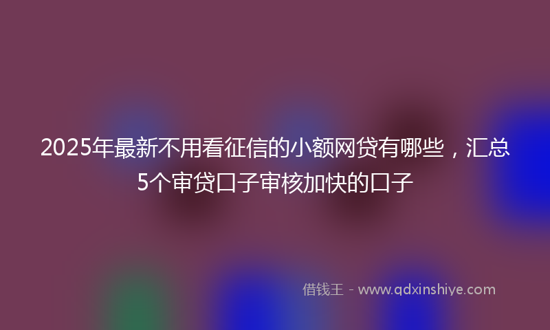 2025年最新不用看征信的小额网贷有哪些，汇总5个审贷口子审核加快的口子
