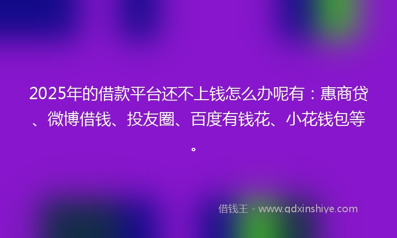 2025年的借款平台还不上钱怎么办呢有：惠商贷、微博借钱、投友圈、百度有钱花、小花钱包等。