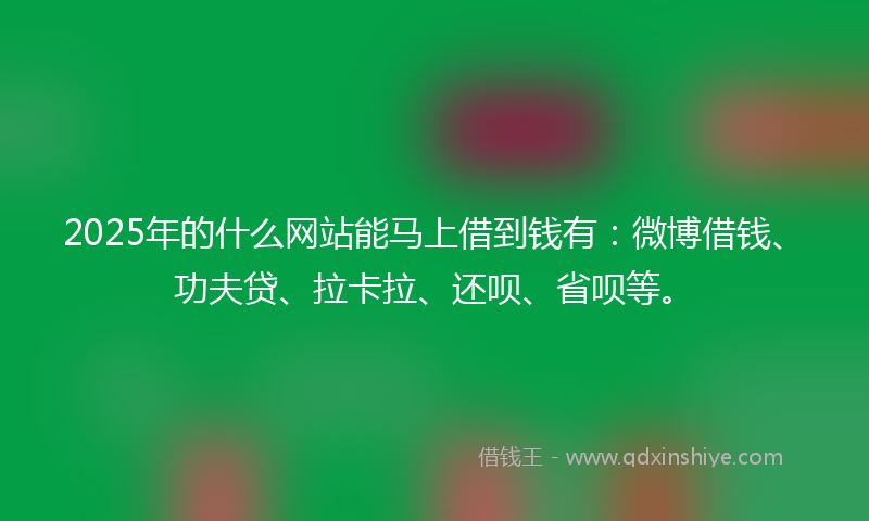 2025年的什么网站能马上借到钱有：微博借钱、功夫贷、拉卡拉、还呗、省呗等。
