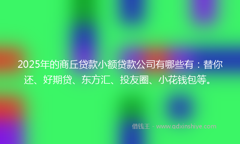 2025年的商丘贷款小额贷款公司有哪些有：替你还、好期贷、东方汇、投友圈、小花钱包等。