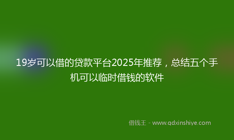 19岁可以借的贷款平台2025年推荐，总结五个手机可以临时借钱的软件