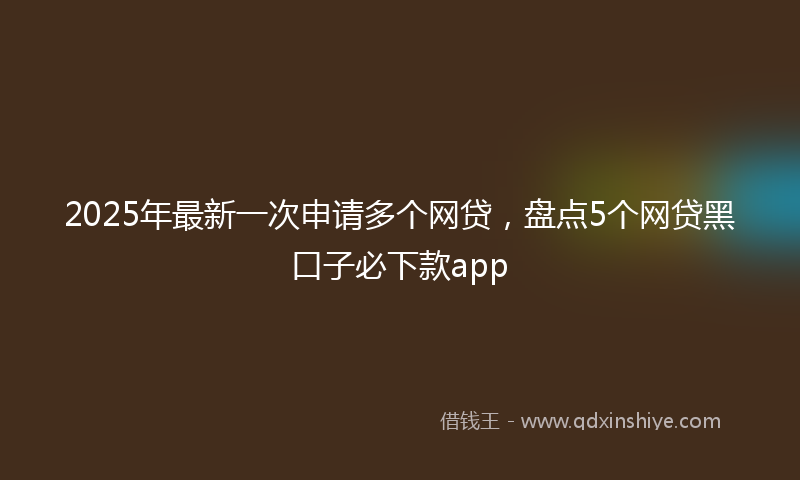 2025年最新一次申请多个网贷，盘点5个网贷黑口子必下款app