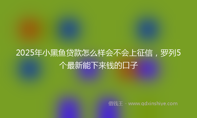 2025年小黑鱼贷款怎么样会不会上征信，罗列5个最新能下来钱的口子