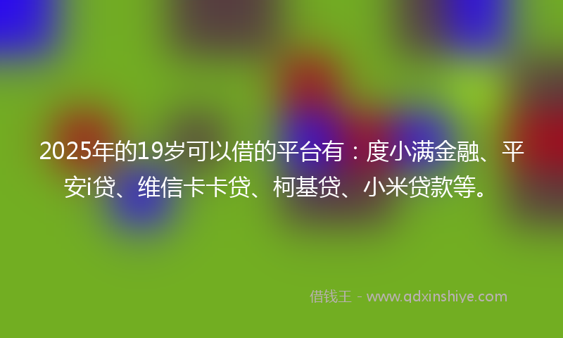 2025年的19岁可以借的平台有：度小满金融、平安i贷、维信卡卡贷、柯基贷、小米贷款等。