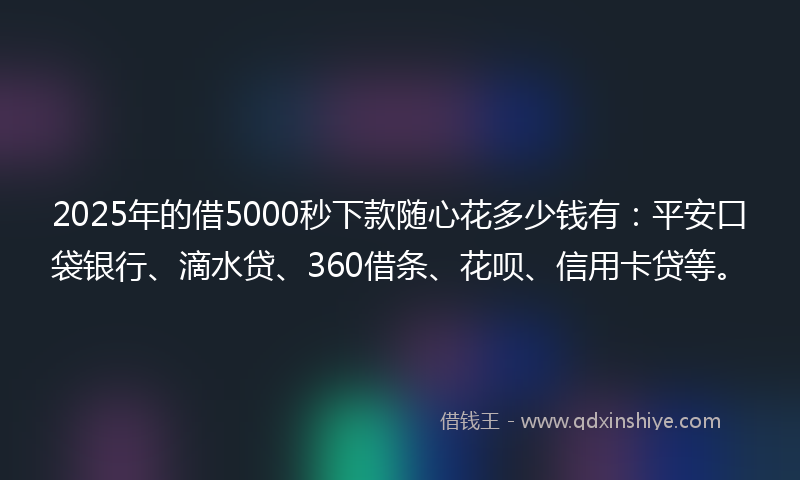 2025年的借5000秒下款随心花多少钱有：平安口袋银行、滴水贷、360借条、花呗、信用卡贷等。