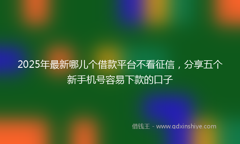 2025年最新哪儿个借款平台不看征信，分享五个新手机号容易下款的口子