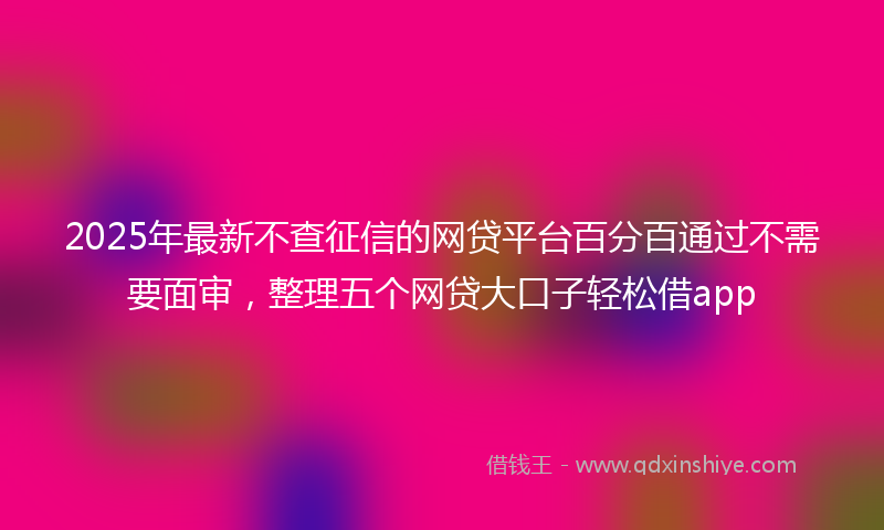 2025年最新不查征信的网贷平台百分百通过不需要面审，整理五个网贷大口子轻松借app