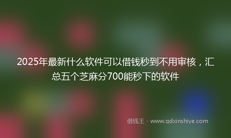 2025年最新什么软件可以借钱秒到不用审核，汇总五个芝麻分700能秒下的软件