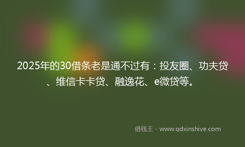 2025年的30借条老是通不过有：投友圈、功夫贷、维信卡卡贷、融逸花、e微贷等。