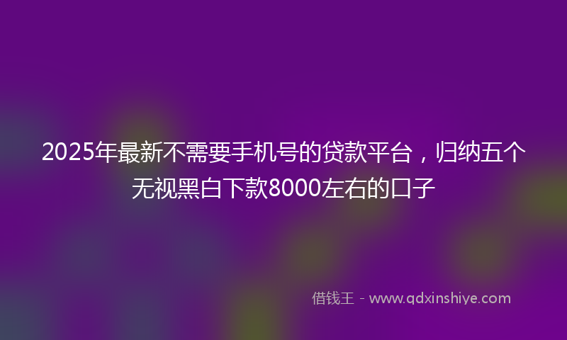 2025年最新不需要手机号的贷款平台，归纳五个无视黑白下款8000左右的口子