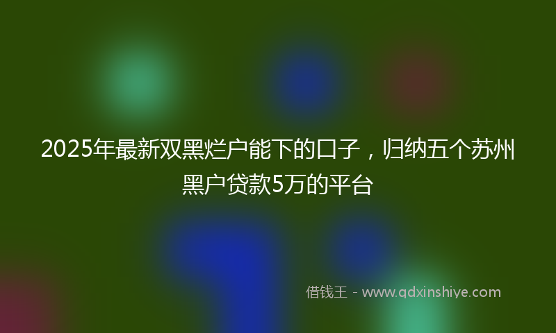 2025年最新双黑烂户能下的口子，归纳五个苏州黑户贷款5万的平台