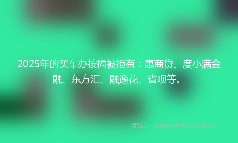 2025年的买车办按揭被拒有：惠商贷、度小满金融、东方汇、融逸花、省呗等。