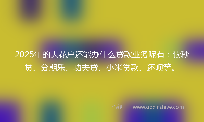 2025年的大花户还能办什么贷款业务呢有：读秒贷、分期乐、功夫贷、小米贷款、还呗等。