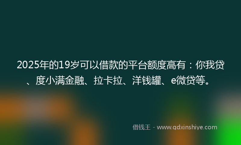 2025年的19岁可以借款的平台额度高有：你我贷、度小满金融、拉卡拉、洋钱罐、e微贷等。