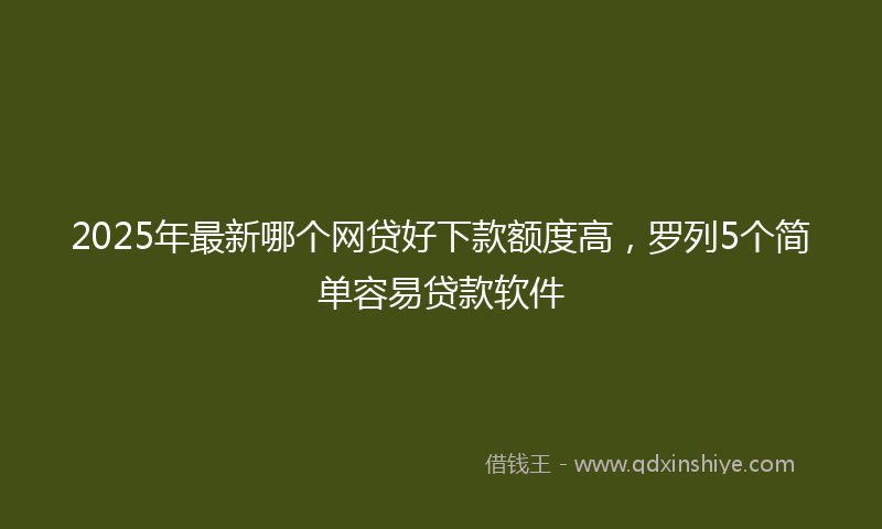2025年最新哪个网贷好下款额度高，罗列5个简单容易贷款软件