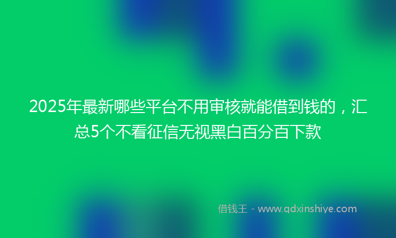 2025年最新哪些平台不用审核就能借到钱的，汇总5个不看征信无视黑白百分百下款