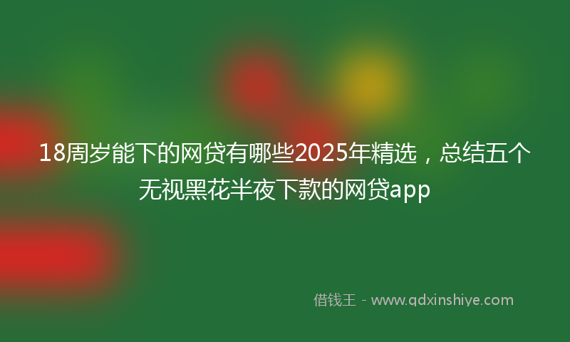 18周岁能下的网贷有哪些2025年精选，总结五个无视黑花半夜下款的网贷app