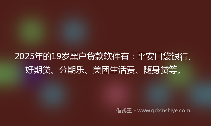 2025年的19岁黑户贷款软件有：平安口袋银行、好期贷、分期乐、美团生活费、随身贷等。