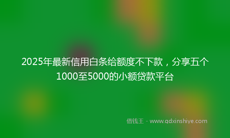 2025年最新信用白条给额度不下款，分享五个1000至5000的小额贷款平台